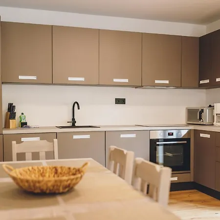 Premium Areit By We Rent, Summercard Included Apartment Zell am See