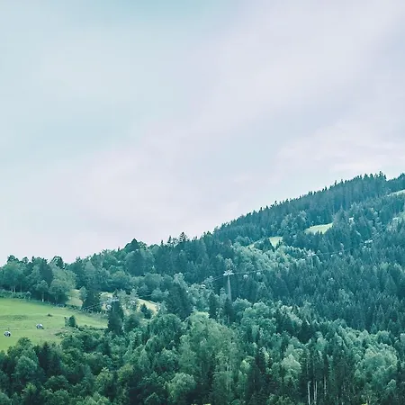 Premium Areit By We Rent *