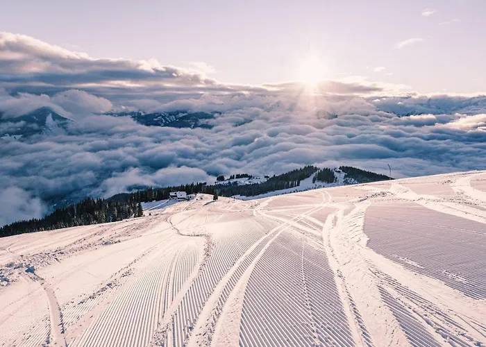 Premium Areit By We Rent * 젤암제