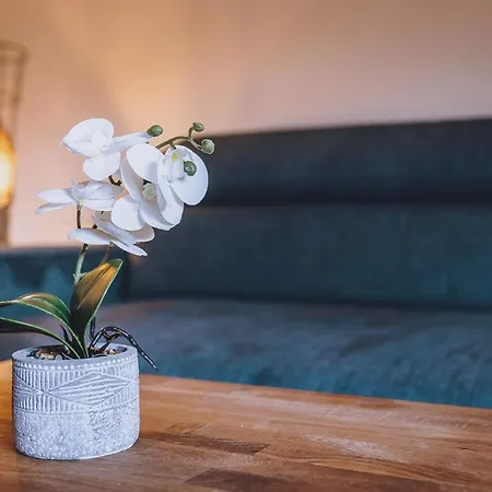 Apartment Premium Areit By We Rent, Summercard Included Zell am See