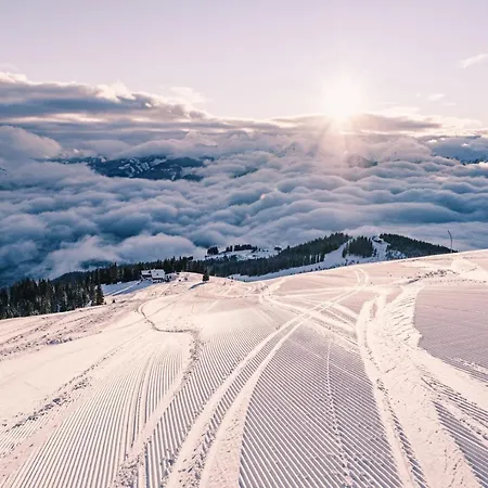 Premium Areit By We Rent, Summercard Included * Zell am See
