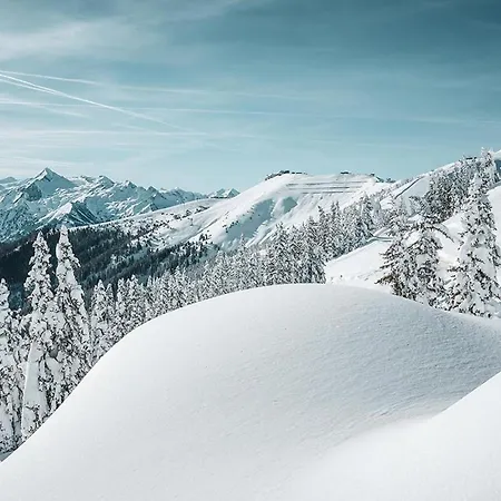Premium Areit By We Rent, Summercard Included * Zell am See